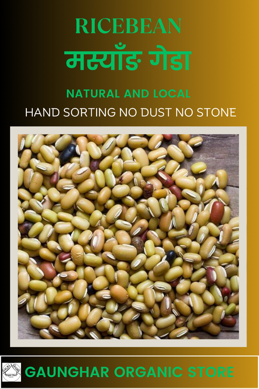 Masyang ( Ricebean ) 1 Kg